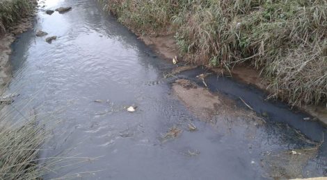 CONTAMINACIÓN: PROBLEMA DE TODOS